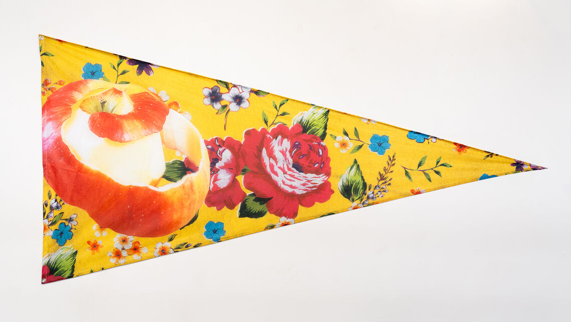 imogengosnell rootsofresilience drwcflagexhibition 2026 individualflags 8