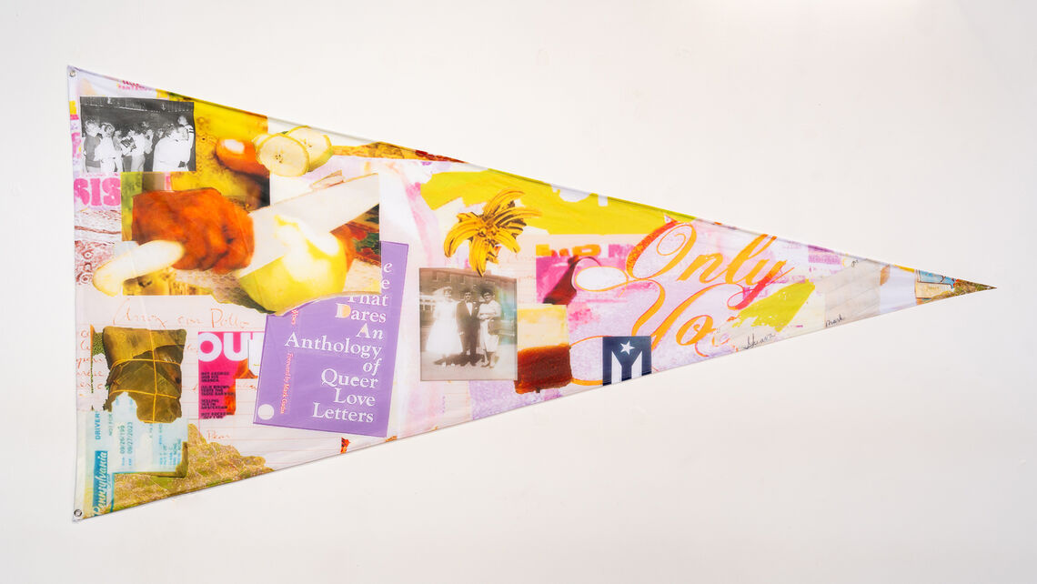 chloeluisapiñero rootsofresilience drwcflagexhibition 2026 individualflags 14