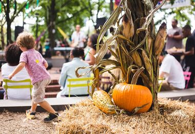 Fall Fest