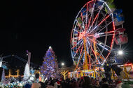 Ferris Wheel and Tree Light Up the Waterfront