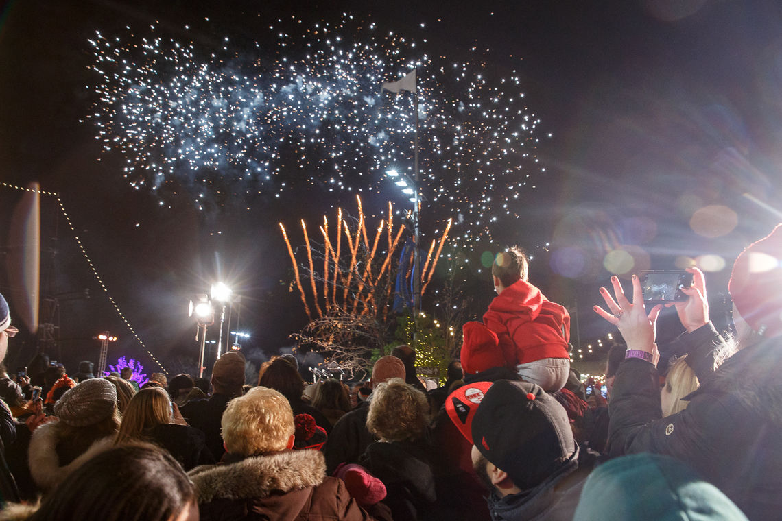 Guests Enjoy the Fireworks Finale